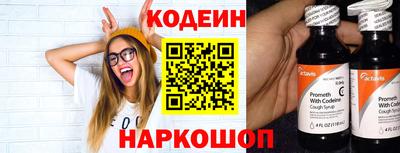 шишки Заволжье