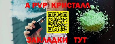 шишки Заволжье