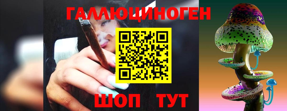 Красногорск  Галлюциногенные грибы Psilocybine cubensis  Вход с VPN 